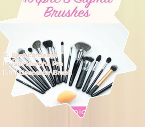 Best makeup brushes morphe